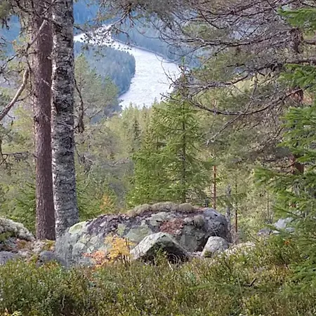 Camp Fredbo